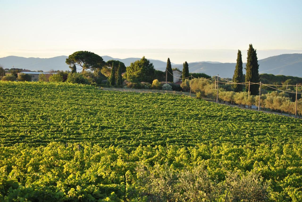 Villa La Valiana - Full Estate In Montepulciano - Heated Pool Valiano Екстериор снимка